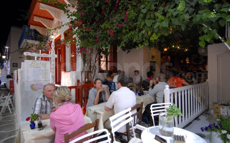 Lotus - - Mykonos, Greece Lotus - _MYK0263a - Mykonos, Greece