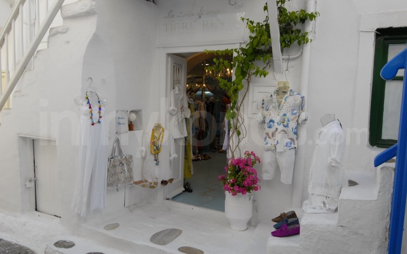 La Storia Di Una Tigre Ricca - - Mykonos, Greece La Storia Di Una Tigre Ricca - _MYK1304 - Mykonos, Greece