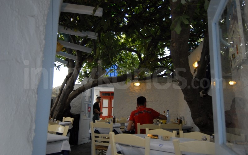 Kounelas - _MYK2342 - Mykonos, Greece