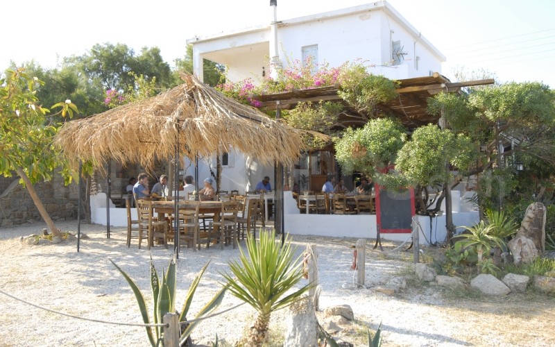 Bandana - - Mykonos, Greece Bandana - _MYK0326 - Mykonos, Greece