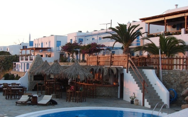 Carrop Tree - carrop tree 1 - Mykonos, Greece Carrop Tree - carrop tree 1 - Mykonos, Greece