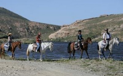 Horseland - horseland 1 - Mykonos, Greece