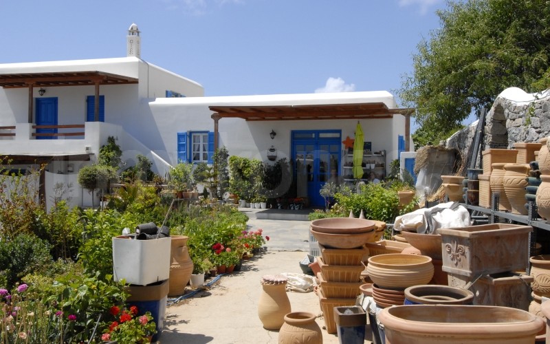 Kykladitiko Aroma - _MYK0727 - Mykonos, Greece