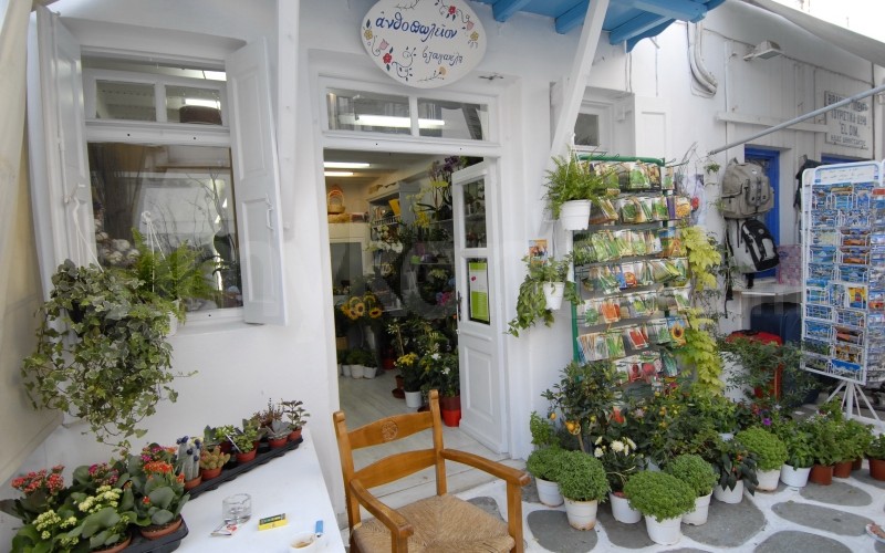 Flower Shop - _MYK0138 - Mykonos, Greece