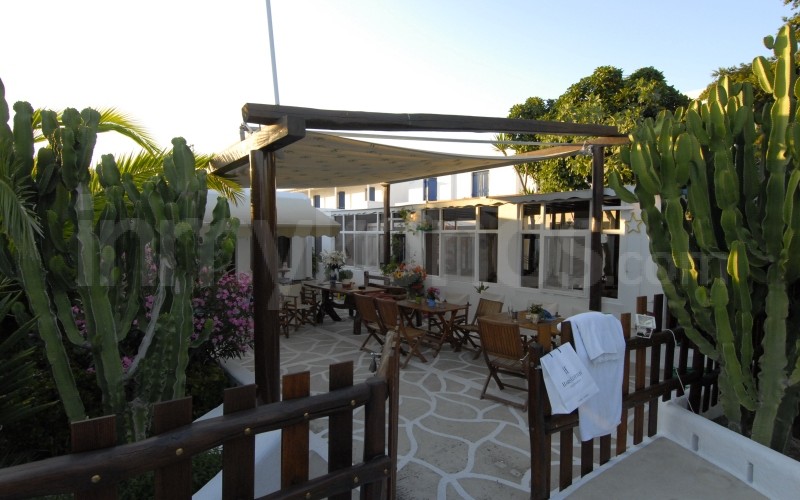 Sourmeli Garden Hotel - - Mykonos, Greece Sourmeli Garden Hotel - _MYK1867 - Mykonos, Greece