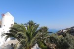 Apostolis Windmill - Mykonos Rooms & Apartments with a garden area