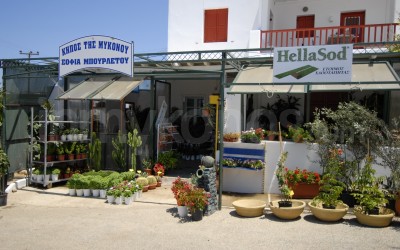 Garden of Mykonos