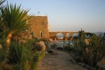 The Stone Villa - Mykonos Villa with a garden area