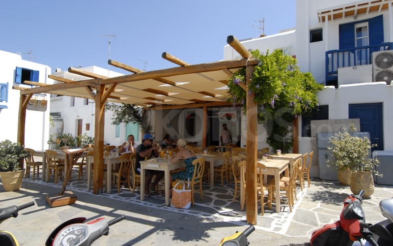 Cosmo - - Mykonos, Greece Cosmo - _MYK2438 - Mykonos, Greece