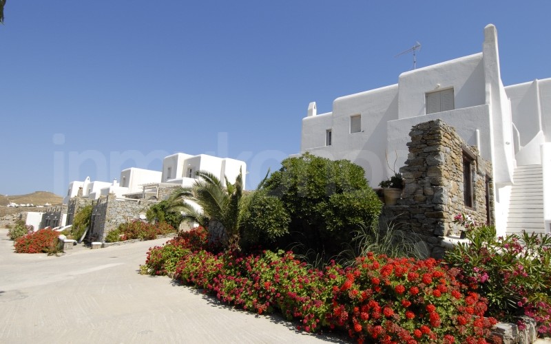 Ftelia Bay Hotel - _MYK0465 - Mykonos, Greece